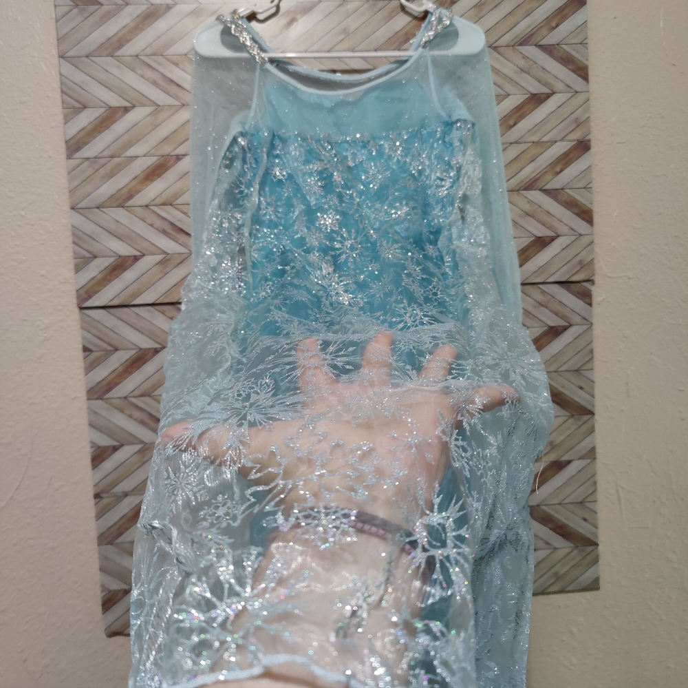 Disney Frozen Elsa Costume - Picture 5 of 5